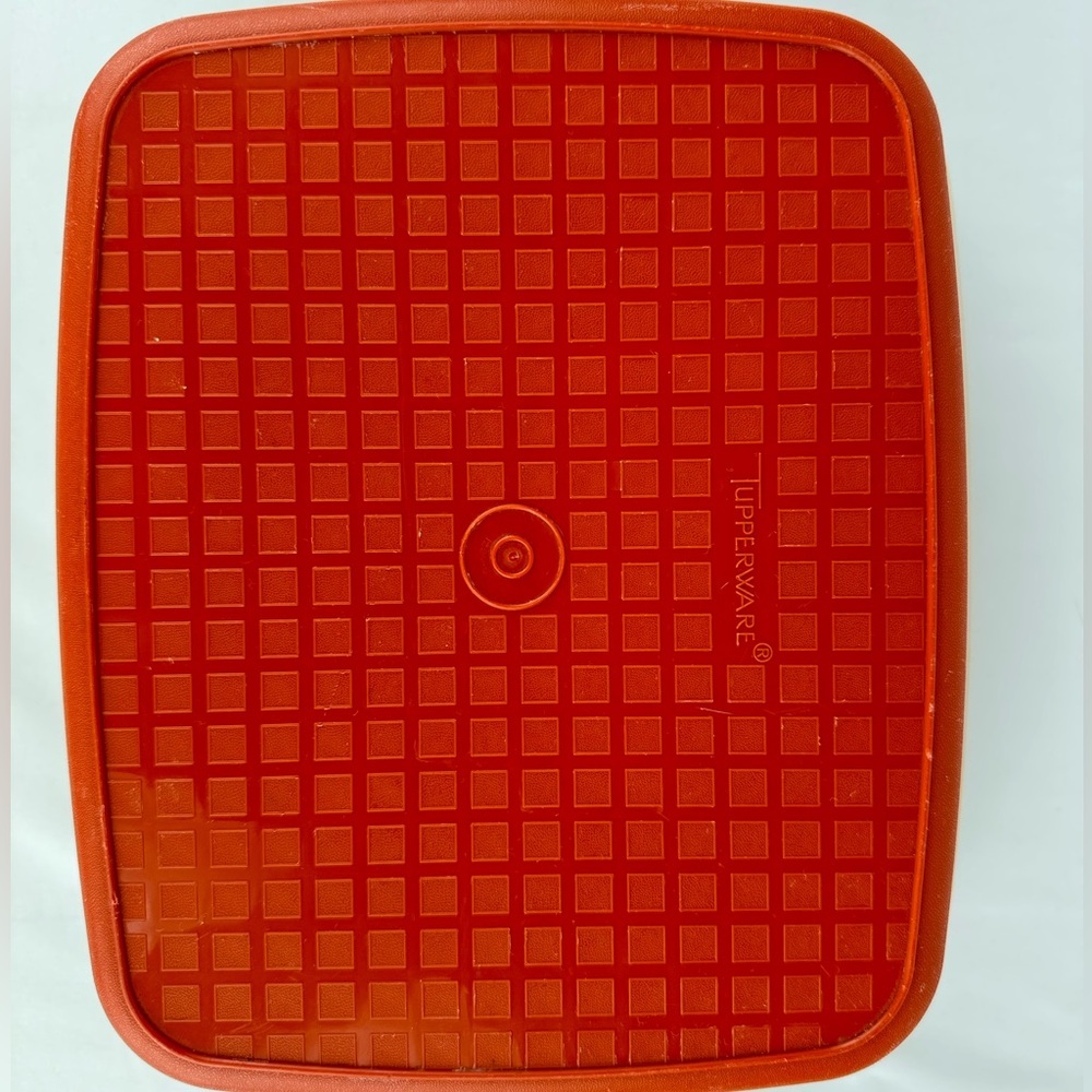 Vintage Tupperware Season n Serve Meat Marinading Container - Picture 3 of 5
